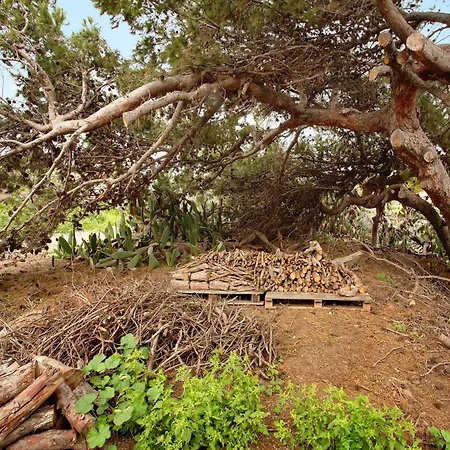 Casa Do Vinho بيت للعطل بورتو سانتو