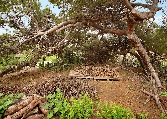 Casa Do Vinho Prázdninový dům Porto Santo